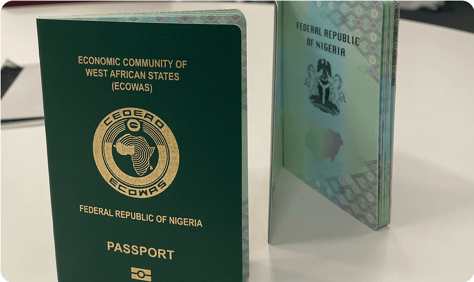 passport image